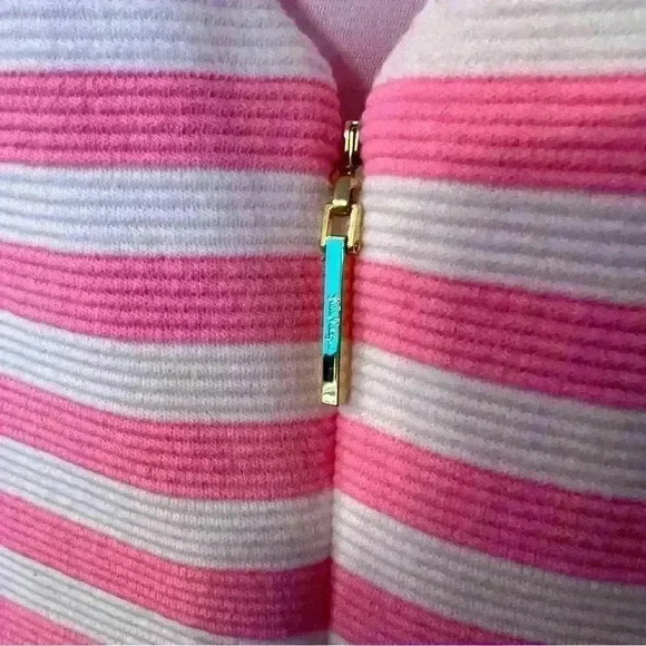 Lilly Pulitzer Eden Tropical Pink Pout Ottoman Striped Shift Dress Size Small - Picture 6 of 8